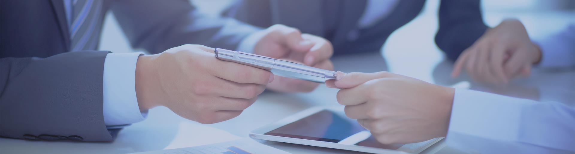 Pre-Sales Service