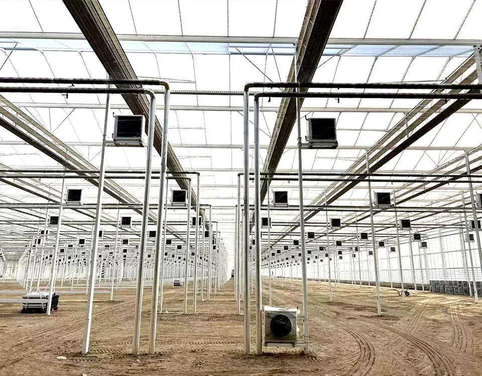 Greenhouse of Vegetables