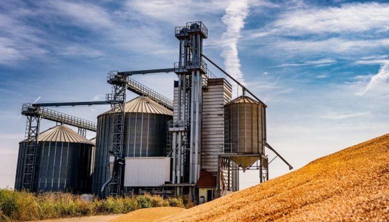 Agriculture