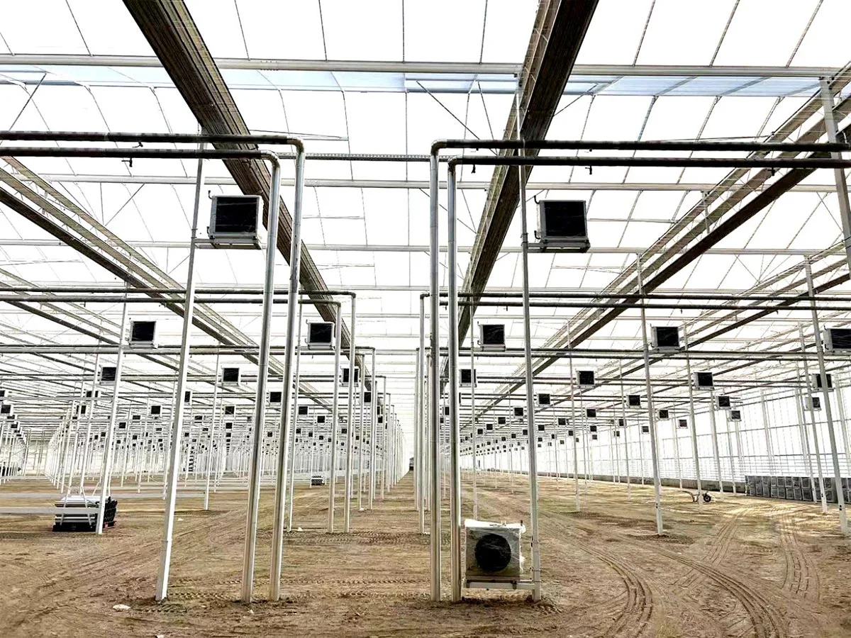 Greenhouse of Vegetables