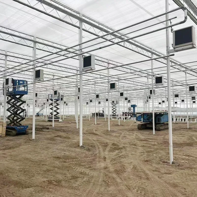 Greenhouse of Vegetables