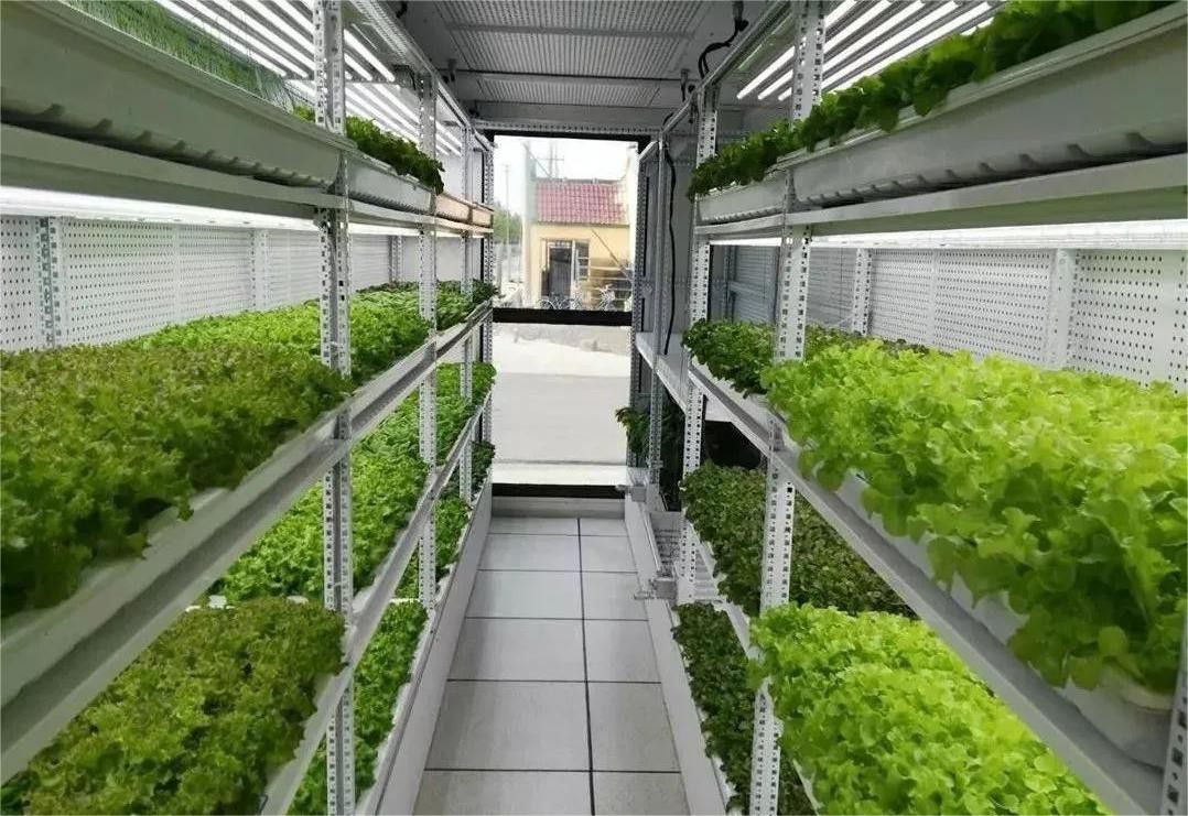 Container Air Conditioners